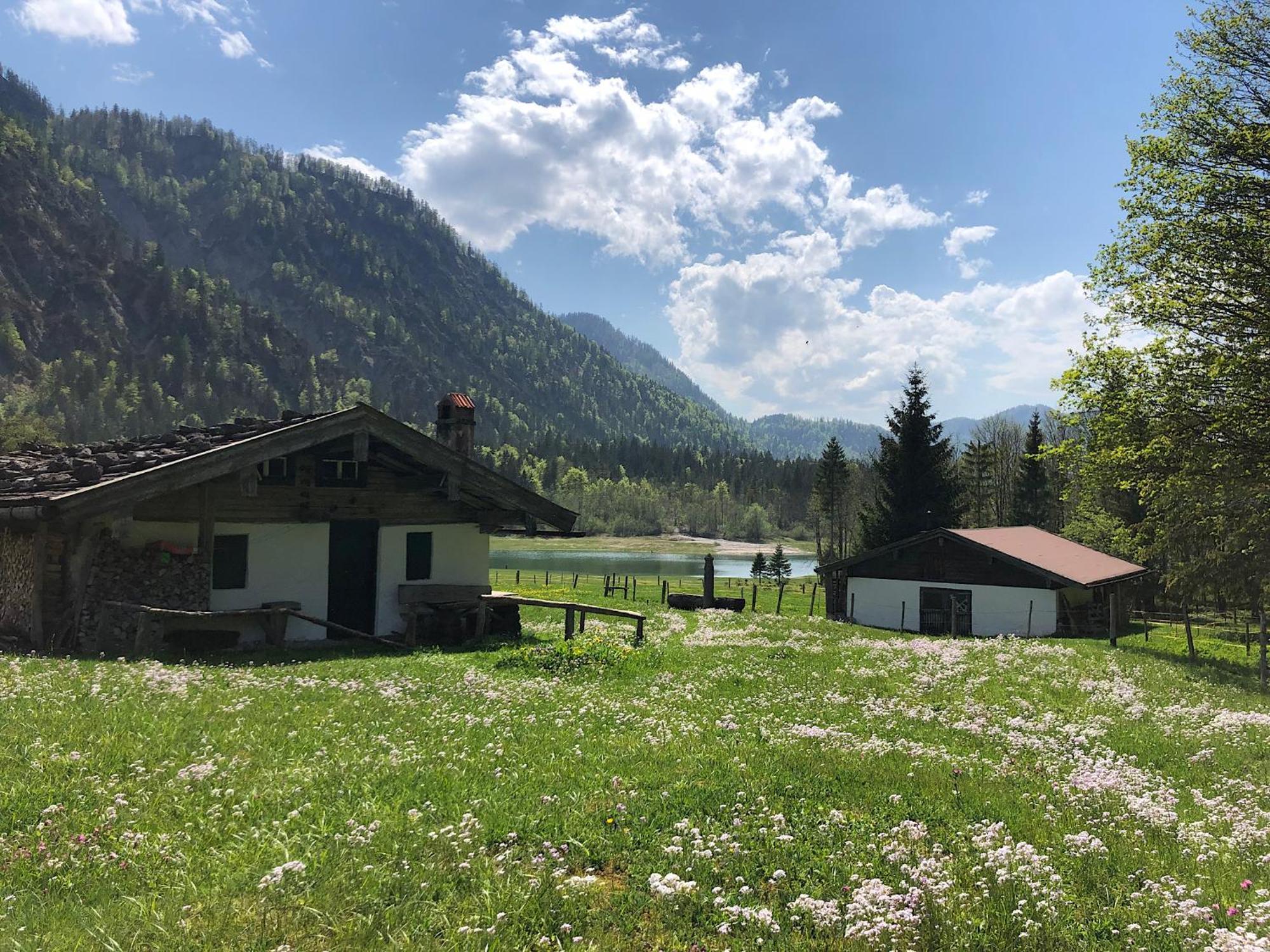 Ferienwohnung Eisenberger Inkl. Chiemgaukarte Ruhpolding Buitenkant foto